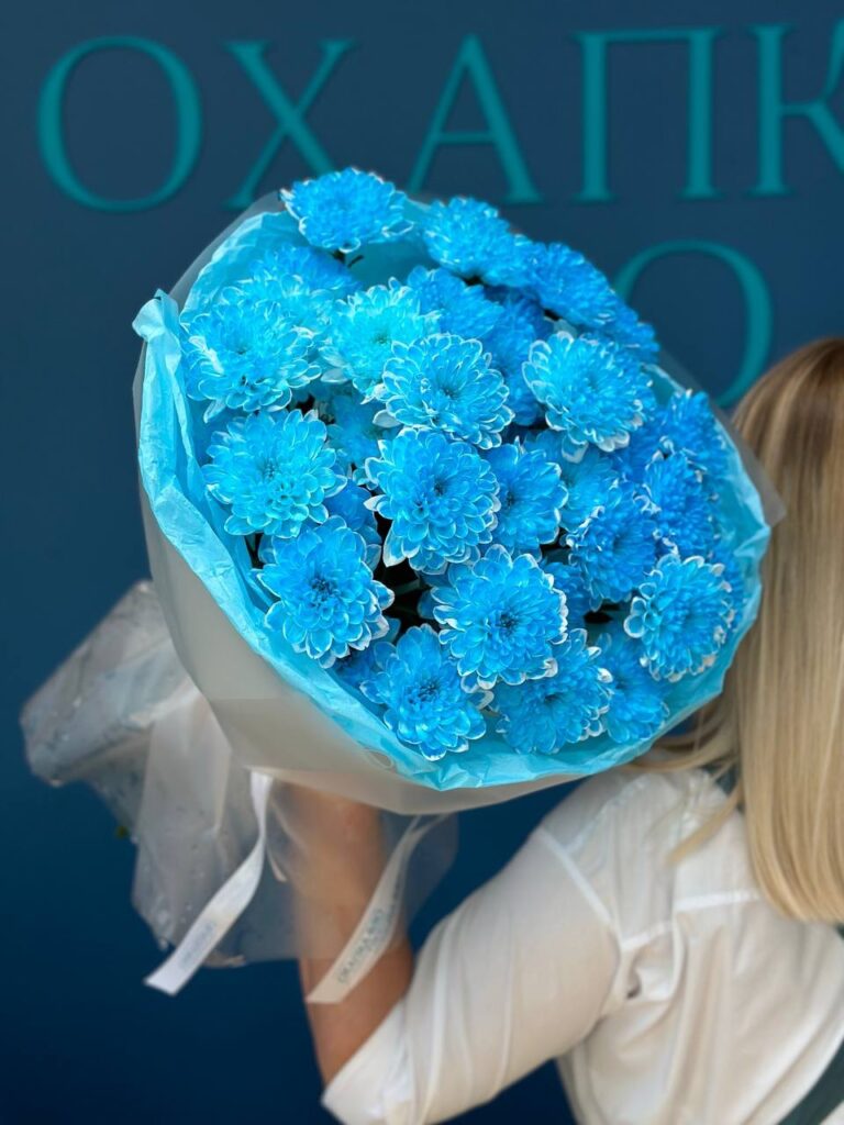 Букет хризантем кустовых синих, 7 штук.