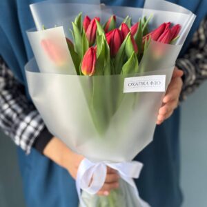 Тюльпан красный букет