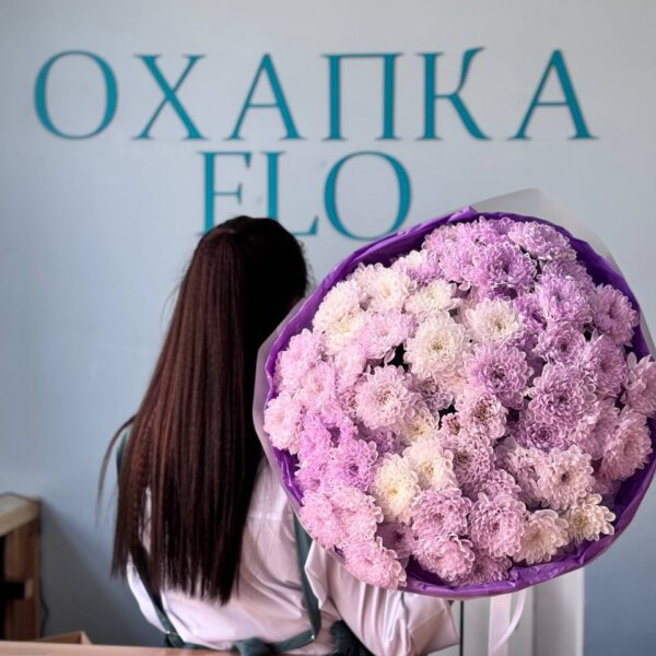 Хризантема фиолетовая букет