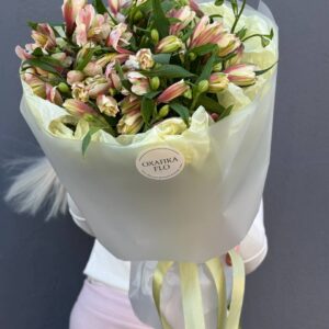Альстромерия розовая букет 15 штук