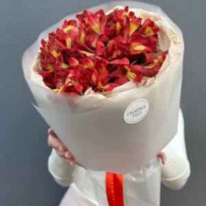 Альстромерия красная букет 15 штук