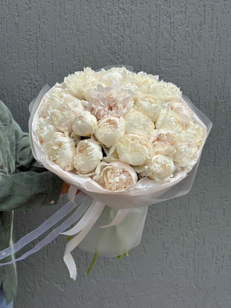 Букет пионов белых Боул оф крем 25 штук в букете