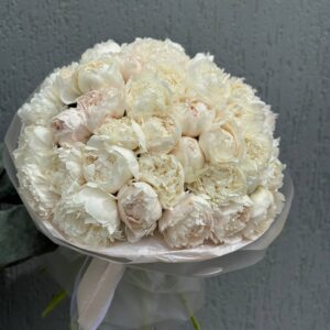 Букет Пионов Боул ОФ Крем 51