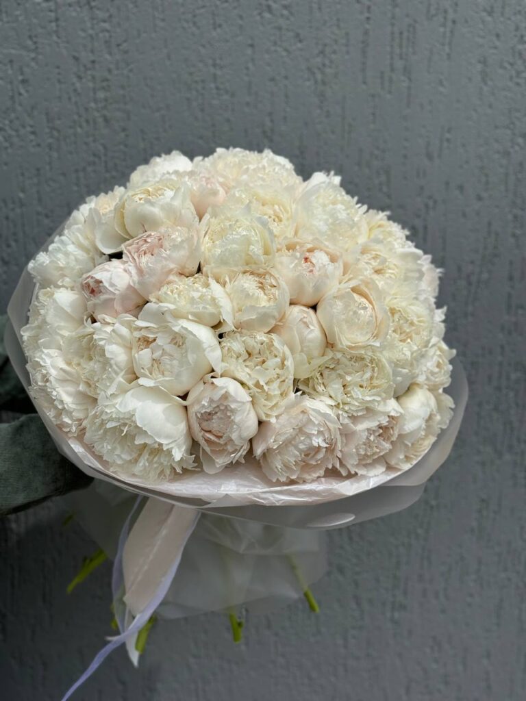 Букет Пионов Боул ОФ Крем 51