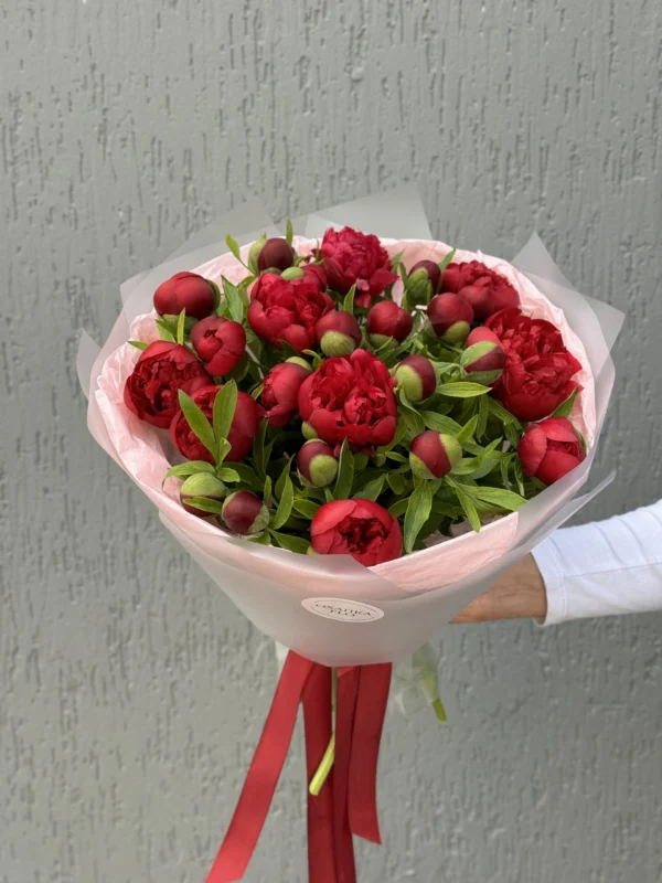 Букет Пионов Рубра Плена 25