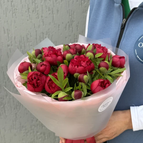 Букет Пионов Рубра Плена 25