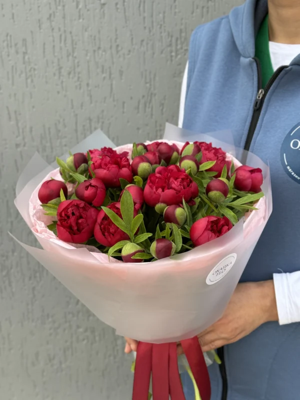 Букет Пионов Рубра Плена 25