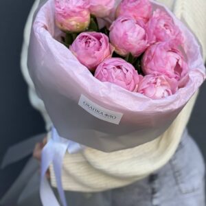 Пионы розовые 9 штук Диннер Плате
