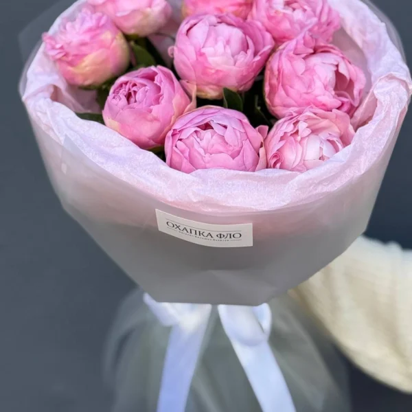 Пионы розовые 9 штук Диннер Плате