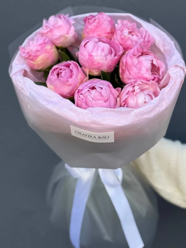 Пионы розовые 9 штук Диннер Плате