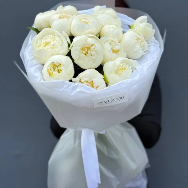 Пион Голландия Дюшес Де Немур 15 шт