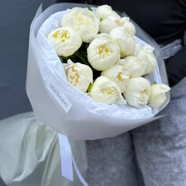 Пион Голландия Дюшес Де Немур 15 шт