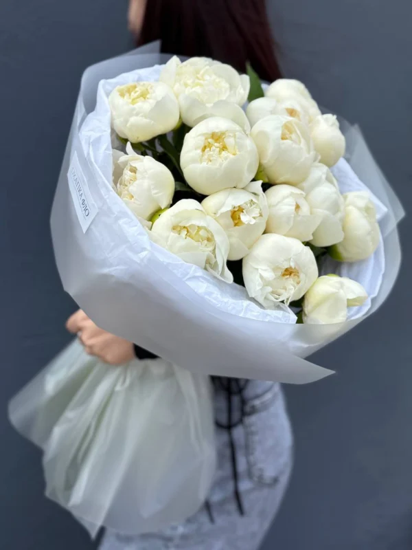 Пион Голландия Дюшес Де Немур 15 шт