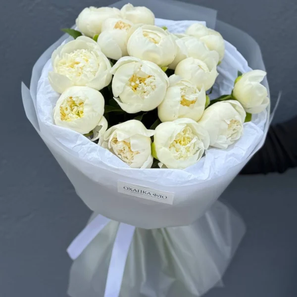 Пион Голландия Дюшес Де Немур 15 шт