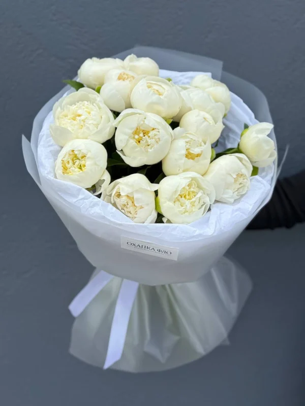 Пион Голландия Дюшес Де Немур 15 шт