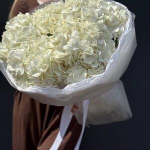 Гортензия белая букет 5 штук.