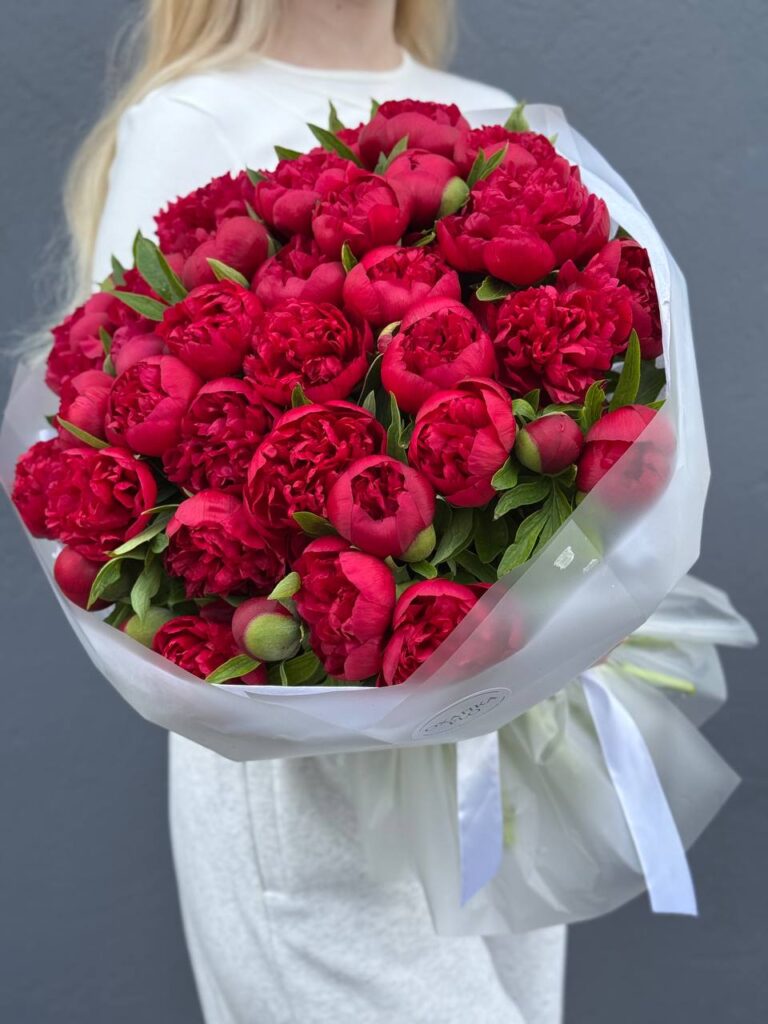 Букет Пионов красных "Рубра Плена"51 штук