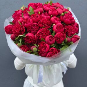 Букет Пионов красных "Рубра Плена"51 штук