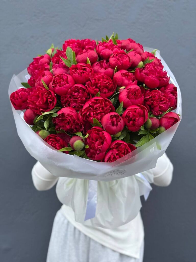 Букет Пионов красных "Рубра Плена"51 штук