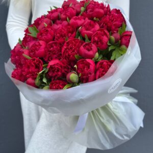 Букет Пионов красных "Рубра Плена"51 штук