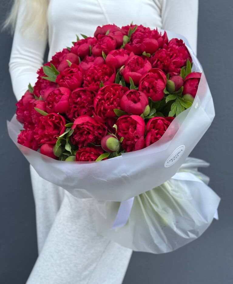 Букет Пионов красных "Рубра Плена"51 штук