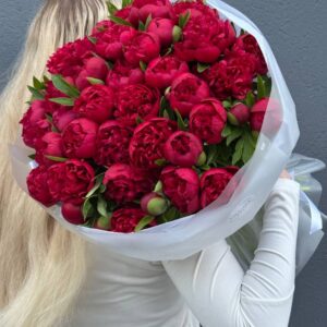 Букет Пионов красных "Рубра Плена"51 штук