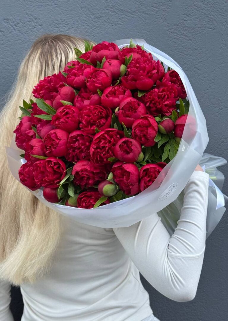 Букет Пионов красных "Рубра Плена"51 штук