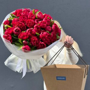 Букет Пионов красных "Рубра Плена"51 штук
