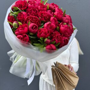 Букет Пионов красных "Рубра Плена"51 штук