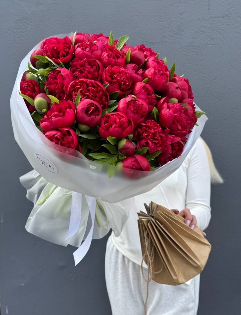 Букет Пионов красных "Рубра Плена"51 штук
