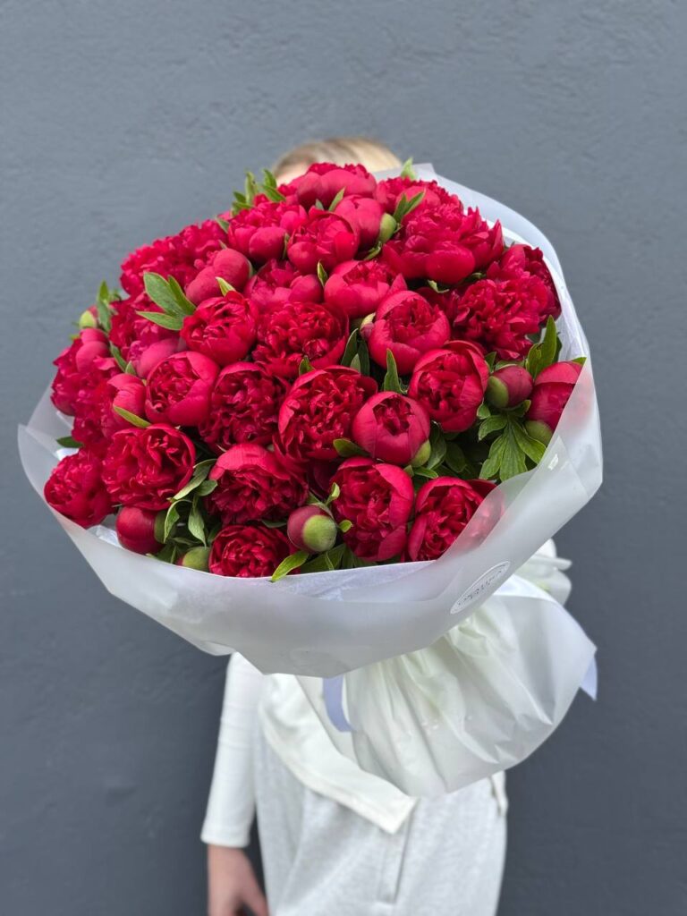 Букет Пионов красных "Рубра Плена"51 штук