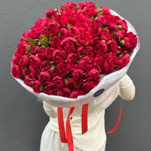 Пионы красные букет из 101 штук