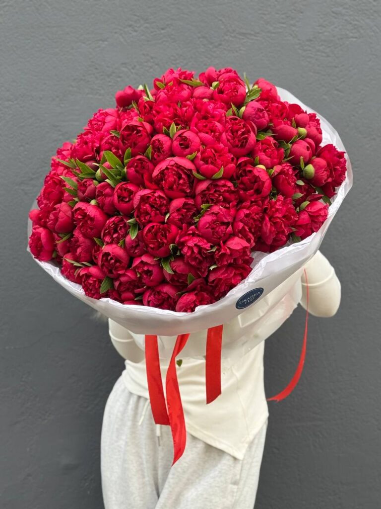 Пионы красные букет из 101 штук
