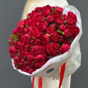 Пионы красные букет из 101 штук