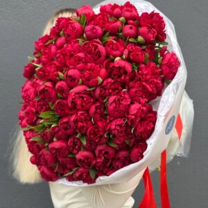 Пионы красные букет из 101 штук