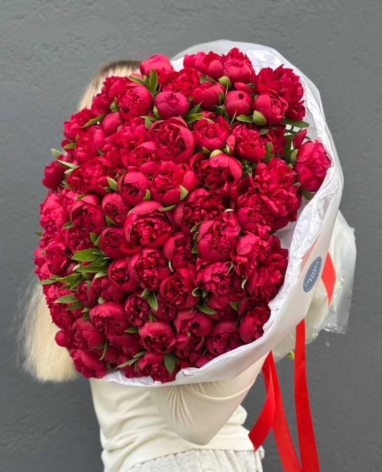 Пионы красные букет из 101 штук