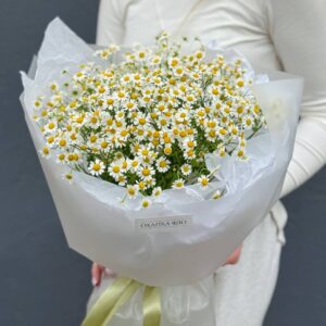 Букет из 15 кустовых ромашек