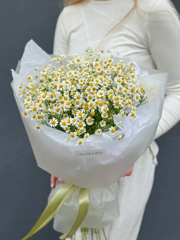 Букет из 15 кустовых ромашек