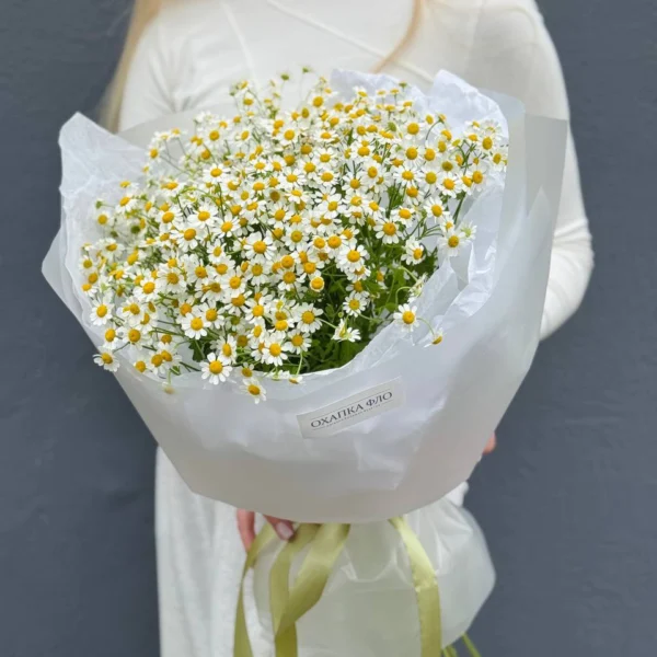 Букет из 15 кустовых ромашек