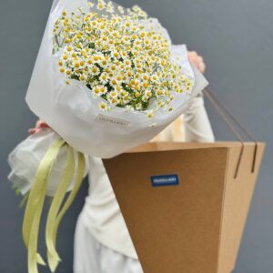 Букет из 15 кустовых ромашек