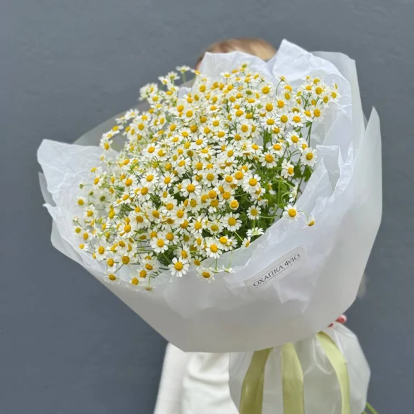 Букет из 15 кустовых ромашек