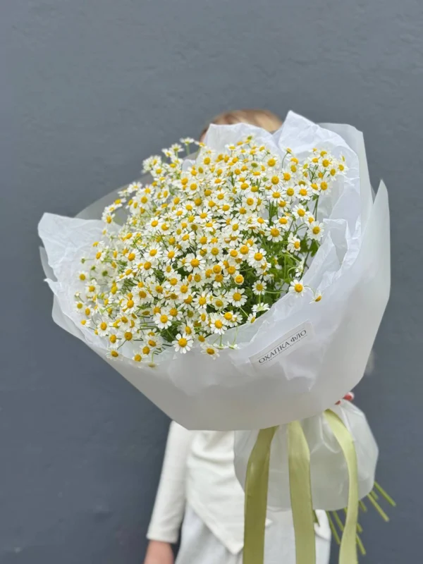 Букет из 15 кустовых ромашек