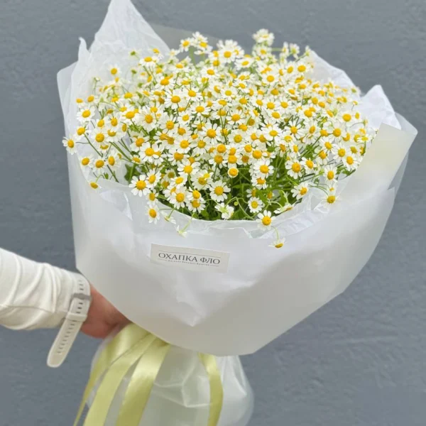 Букет из 15 кустовых ромашек