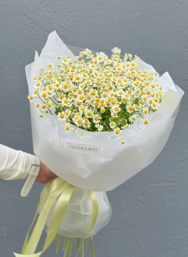 Букет из 15 кустовых ромашек