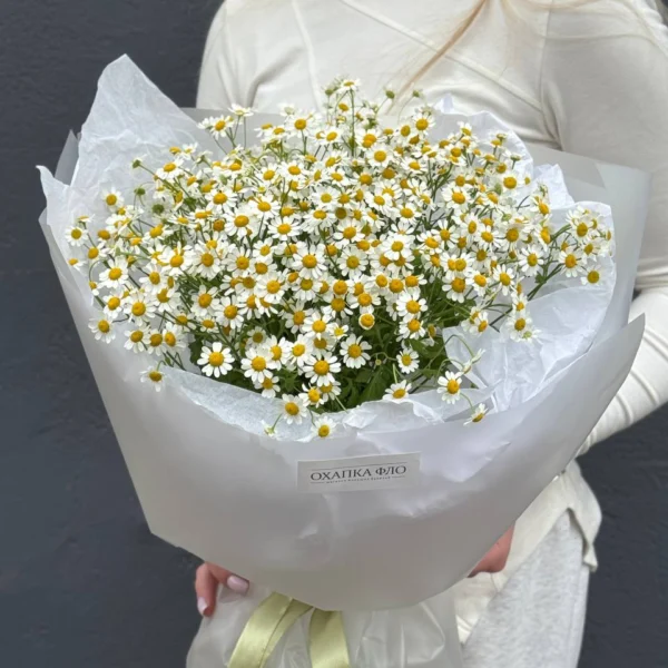 Букет из 15 кустовых ромашек