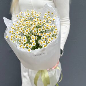 Букет кустовых ромашек 9 штук