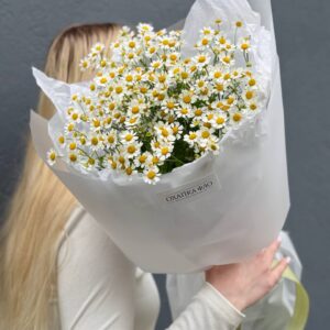Букет кустовых ромашек 9 штук
