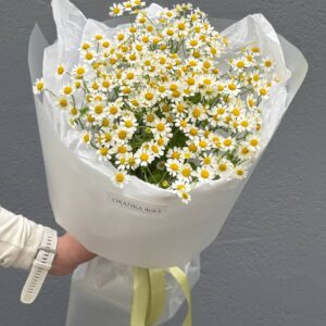 Букет кустовых ромашек 9 штук