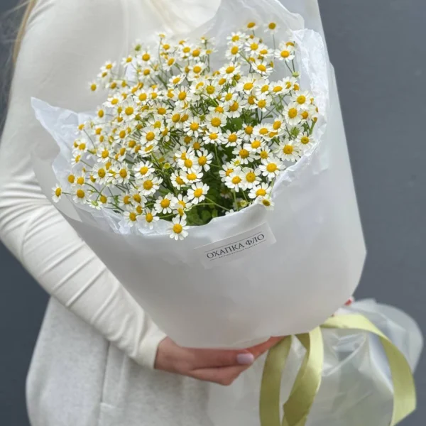Букет кустовых ромашек 9 штук