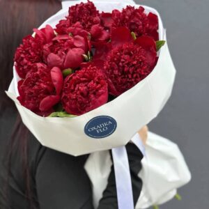 Букет пинов "Ред шарм" 7 штук